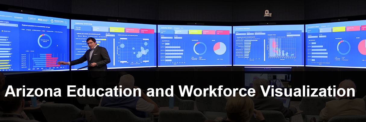 Arizona Education and Workforce Visualization